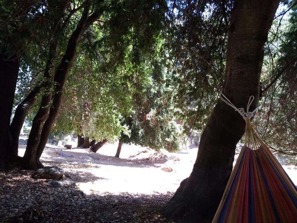 Campsite El Toro - Radal Siete Tazas Molina (Curico)