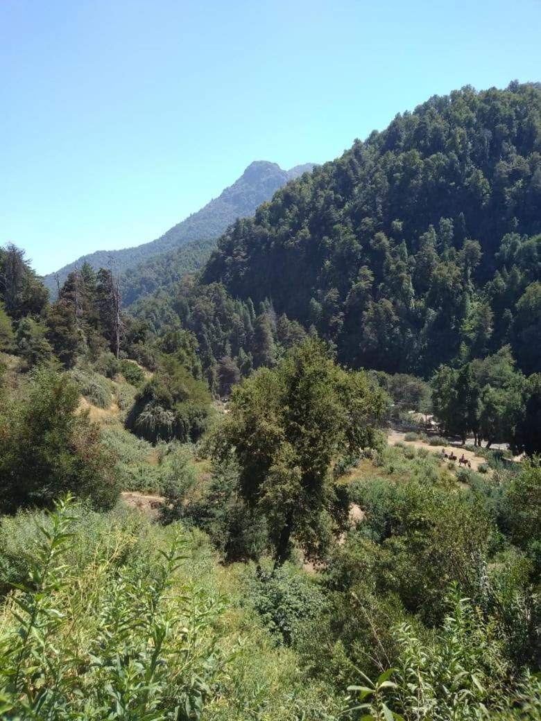 El Toro - Radal Siete Tazas Molina (Curico)
