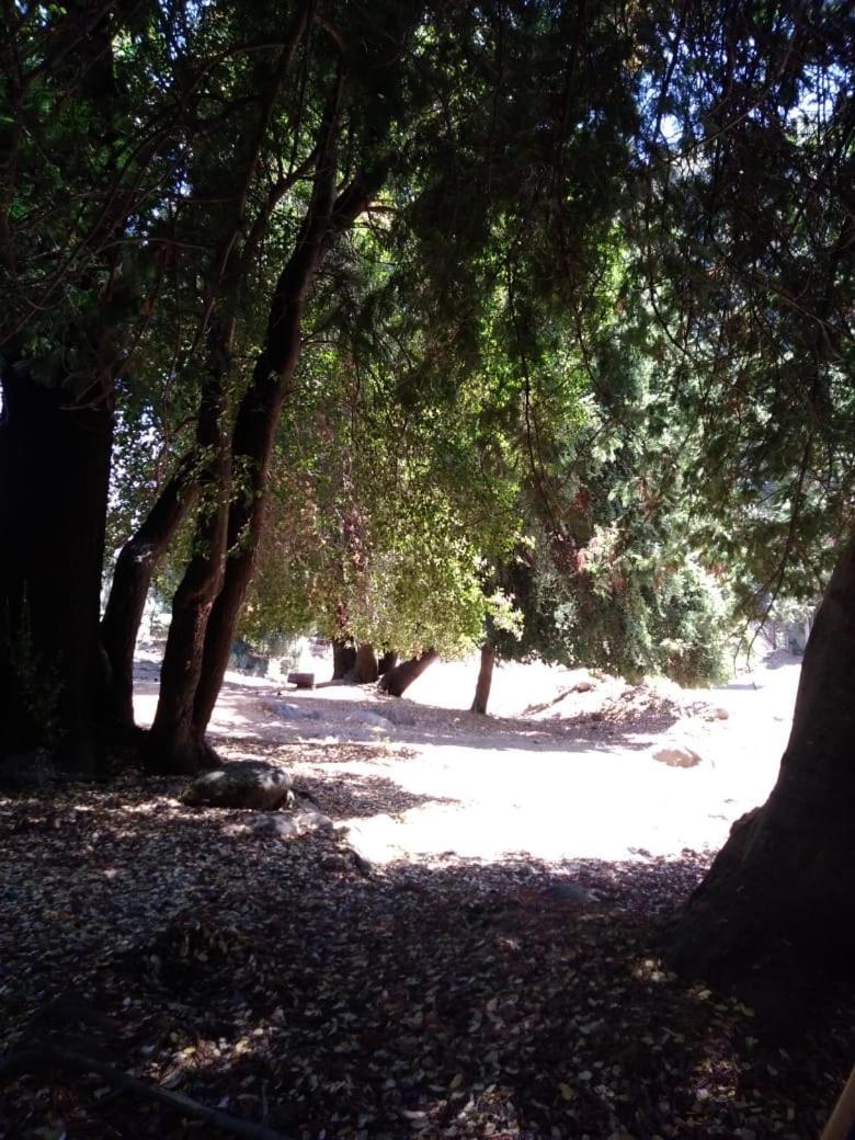 El Toro - Radal Siete Tazas Campsite