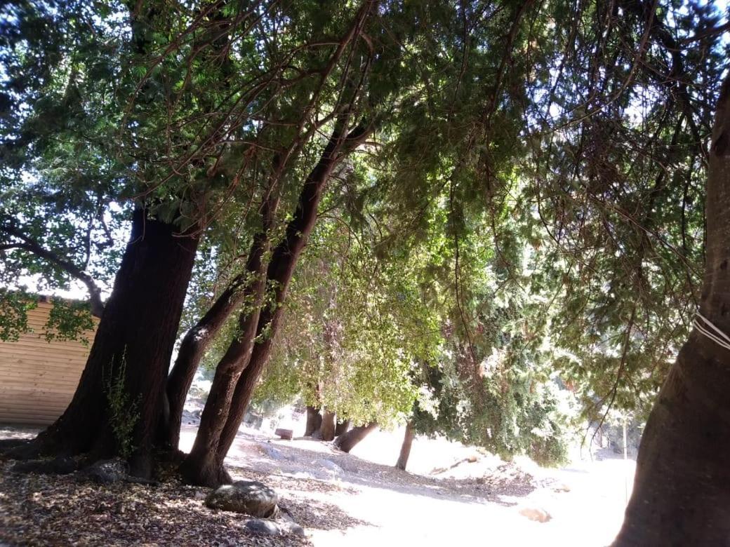 Campsite El Toro - Radal Siete Tazas